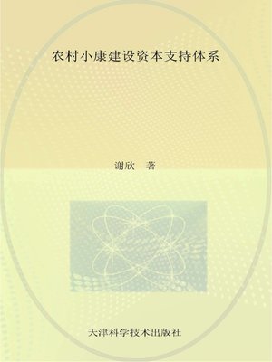 cover image of 农村小康建设资本支持体系